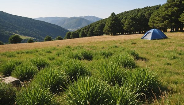 Que voir dans l'aude ? profitez-en depuis camping l'olivigne